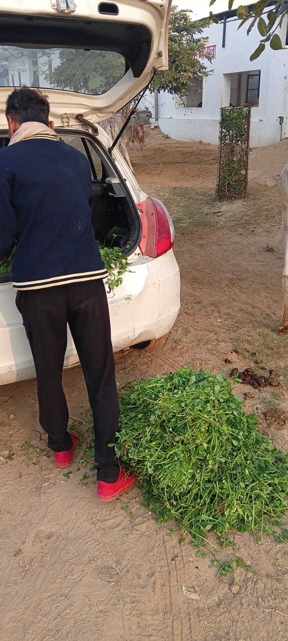 WhatsApp Image 2026-01-20 at 3.38.41 PM