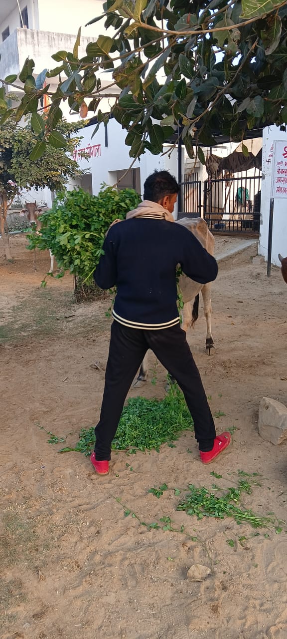 WhatsApp Image 2026-01-20 at 3.38.42 PM