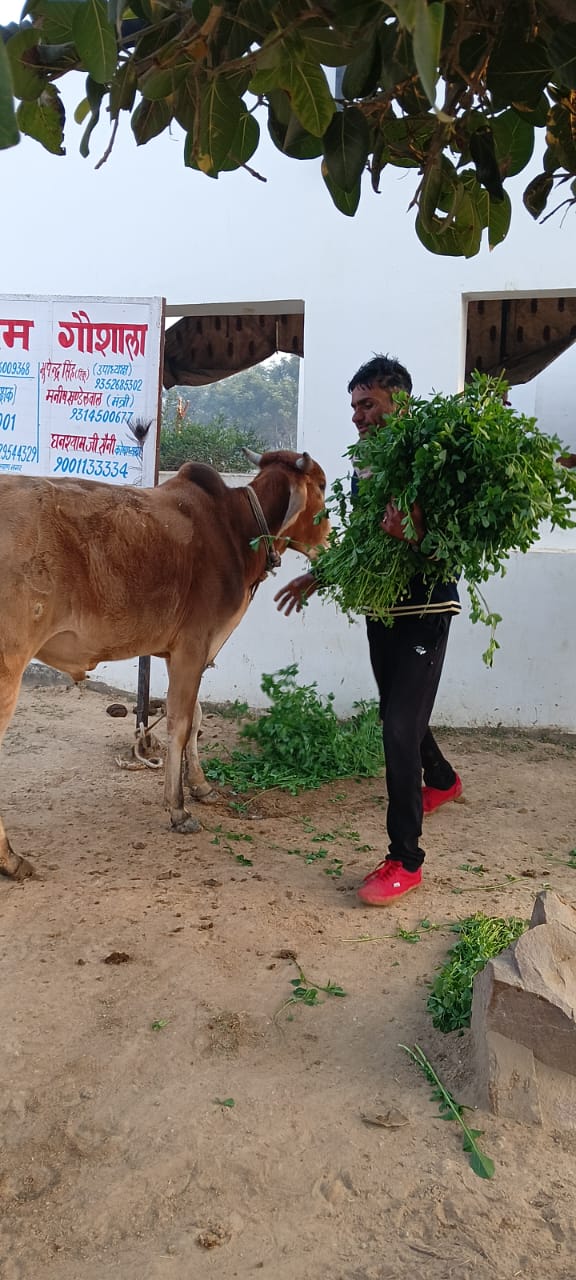 WhatsApp Image 2026-01-20 at 3.38.44 PM