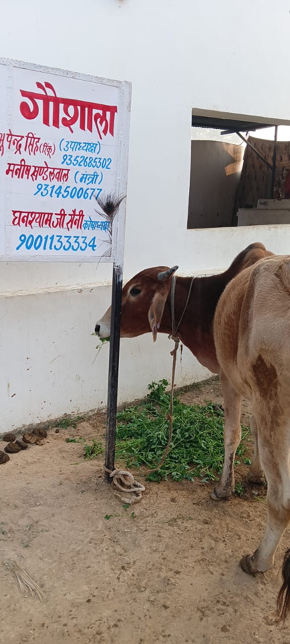 WhatsApp Image 2026-01-20 at 3.38.48 PM