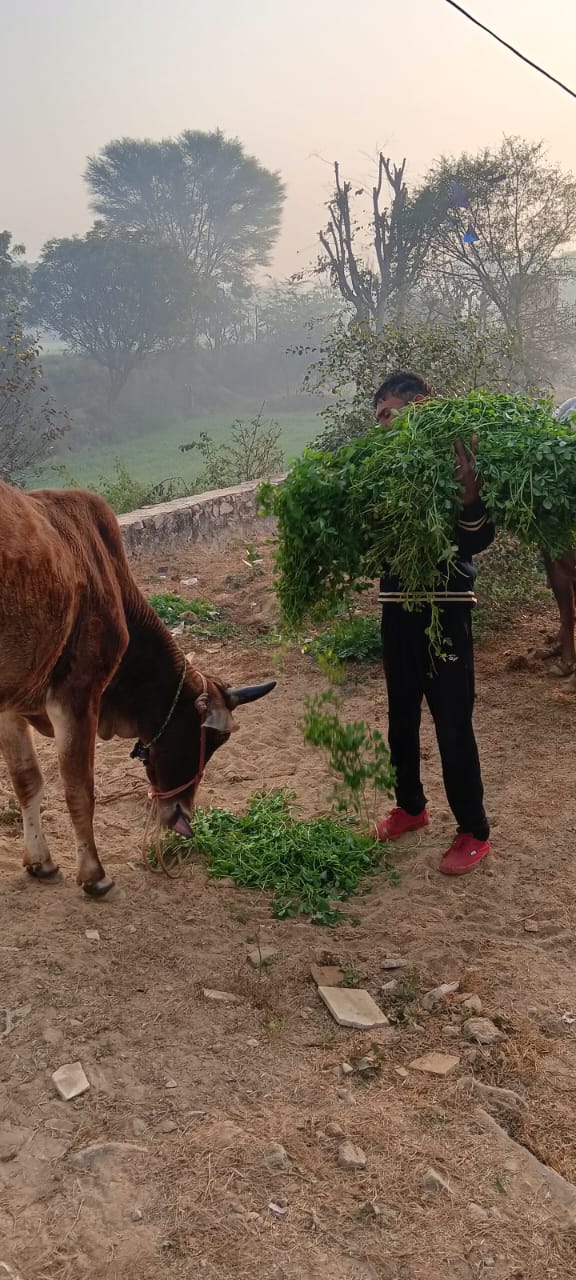 WhatsApp Image 2026-01-20 at 3.38.49 PM