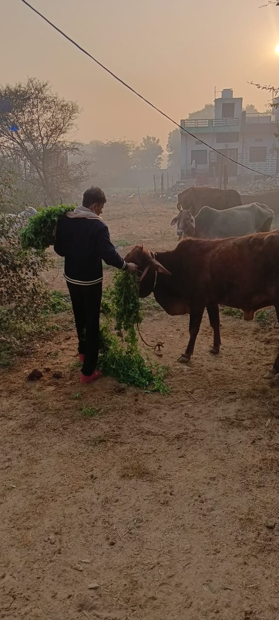 WhatsApp Image 2026-01-20 at 3.38.51 PM