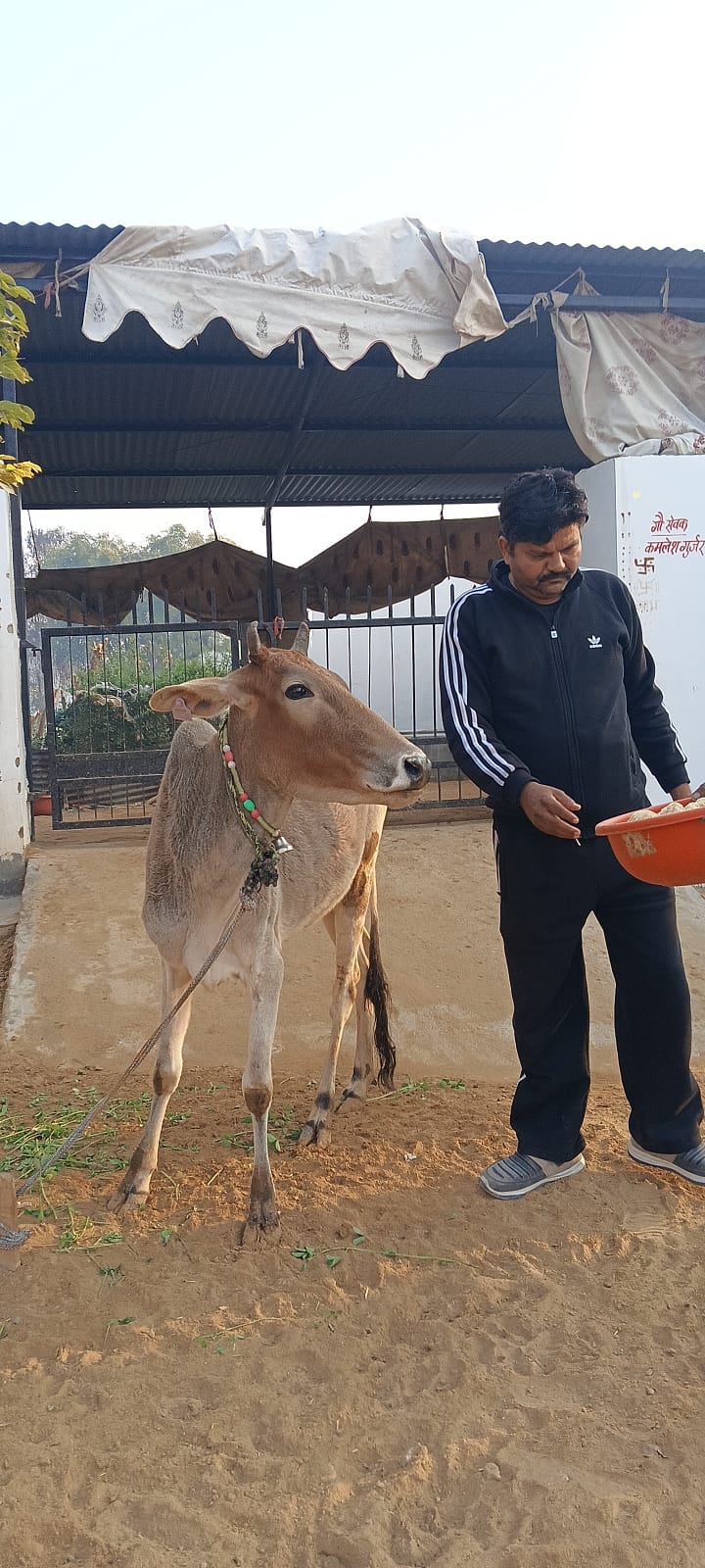 WhatsApp Image 2026-01-20 at 3.38.53 PM