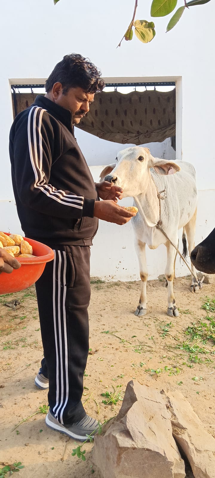 WhatsApp Image 2026-01-20 at 3.38.55 PM