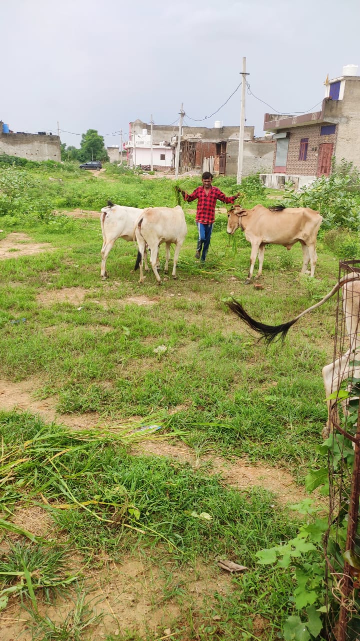 WhatsApp Image 2026-01-20 at 3.41.06 PM (2)