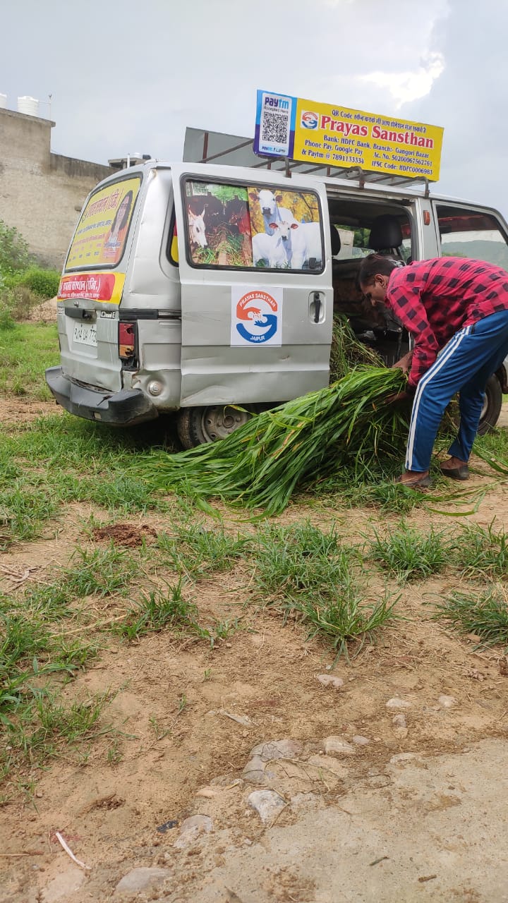 WhatsApp Image 2026-01-20 at 3.41.06 PM