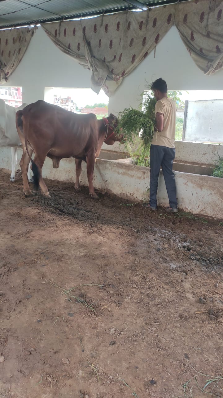 WhatsApp Image 2026-01-20 at 3.41.08 PM (1)