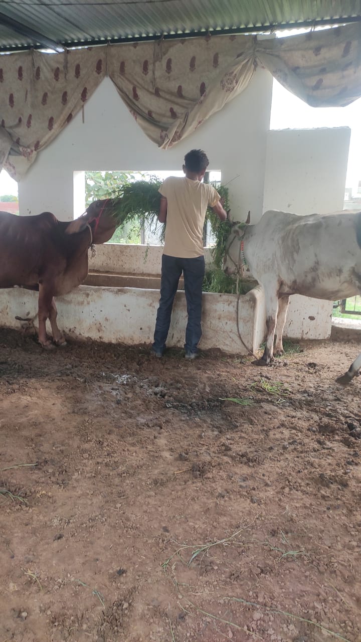 WhatsApp Image 2026-01-20 at 3.41.08 PM