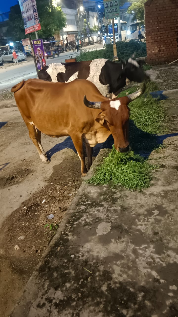 WhatsApp Image 2026-01-20 at 3.41.09 PM